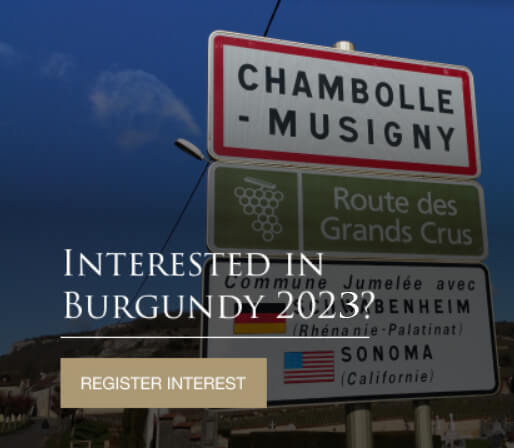 Burgundy 2023 En Primeur